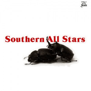 SOUTHERN ALL STARS  Photo