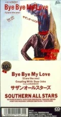 Bye Bye My Love (U are the one)  (8cm CD) Cover