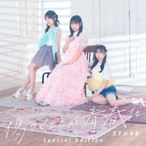 Kizutsuku Koto ga Seishun da (傷つくことが青春だ)  Photo