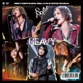HEAVY POSITIVE ROCK FINAL LIVE AT NIPPON BUDOKAN (DVD) Cover