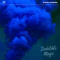 Indelible Magic Cover