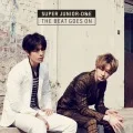 The Beat Goes On  Cover