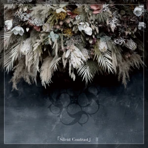 Silent Contrast  Photo