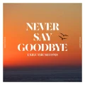 NEVER SAY GOODBYE Cover