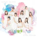 first bloom (CD) Cover