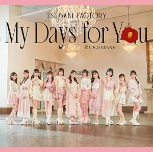 My Days for You / Kanashimi ga Tomaranai (悲しみがとまらない)  Photo