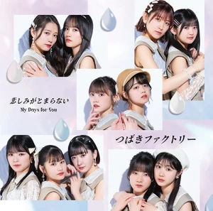 My Days for You / Kanashimi ga Tomaranai (悲しみがとまらない)  Photo