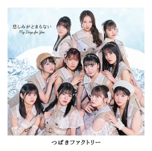 My Days for You / Kanashimi ga Tomaranai (悲しみがとまらない)  Photo