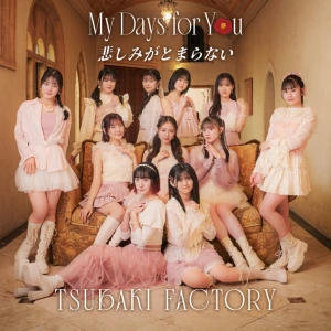 My Days for You / Kanashimi ga Tomaranai (悲しみがとまらない)  Photo