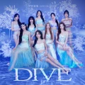 DIVE Cover