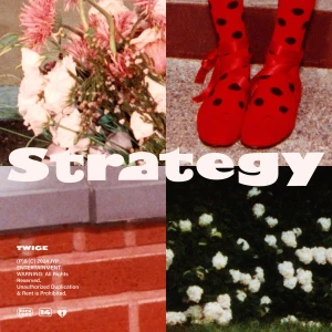 Strategy 2.0  Photo