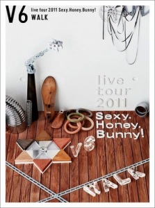 V6 live tour 2011 Sexy.Honey.Bunny!  Photo
