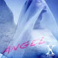 Angel Cover