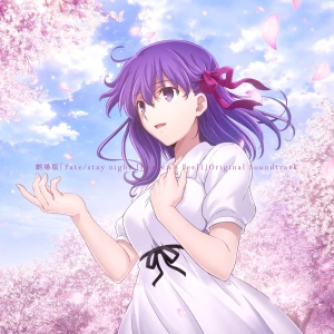 Movie Version "Fate/stay night [Heaven's Feel]" Original Soundtrack Another Edition  Photo