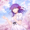 Movie Version &quot;Fate/stay night [Heaven's Feel]&quot; Original Soundtrack Another Edition Cover