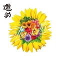 Ultimo album di Yusuke: Thank Yu (Thank 遊)
