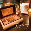 Feeling ZARD orgel Collection vol.3 ～Kitto Wasurenai～ (Feeling ZARD orgel Collection vol.3 ～きっと忘れない～ )  Cover
