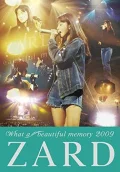 ZARD "What a beautiful memory 2009" Cover