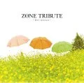 Ultimo album di ZONE: ZONE Tribute 〜Kimiga kuretamono〜 (ZONEトリビュート〜君がくれたもの〜)