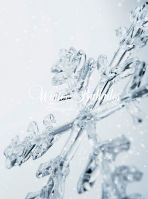 Winter Ballades (CD+DVD)
Parole chiave: nami tamaki winter ballades