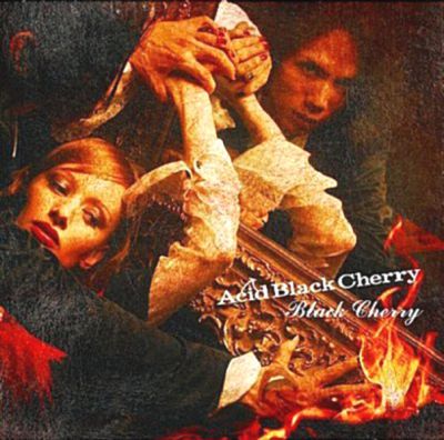 �Black Cherry (CD)
Parole chiave: acid black cherry black cherry