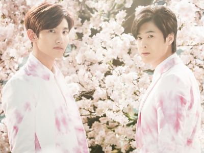 Sakuramichi promo picture 01
Parole chiave: tohoshinki dong bang shin ki dbsk tvxq sakuramichi