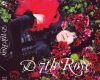 D_7th_Rose_(CD+photobook)~0.jpg