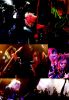 D_TOUR_2011_VAMPIRE_SAGA_-Path_of_the_Rose-_28page_329.jpg