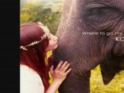 KOKIA - you are not alone (image video)