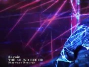 THE SOUND BEE HD - again (PV)